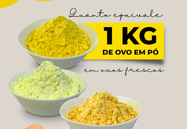 1kg-de-ovo-em-po